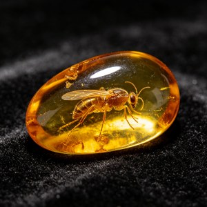 琥珀真假怎么辨别?从盐水浮选到紫外灯的正确用法